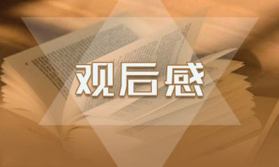 北京大学援鄂医疗队先进事迹报告会观后感五篇2020