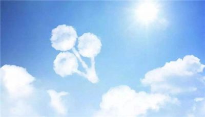 2020观看《政治掮客苏洪波》警示教育片心得体会精选5篇