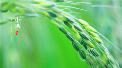 小满说说_小满节气心情说说句子