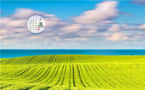 1589270612608032.jpg 小满3.jpg