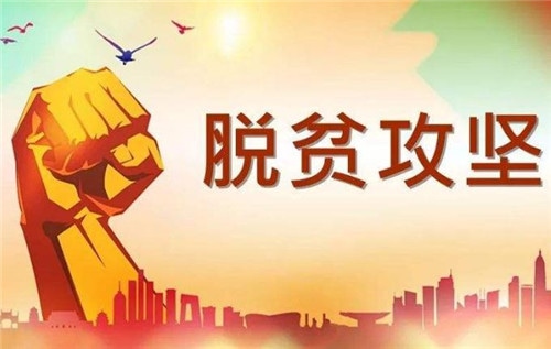 2020观全国脱贫攻坚网络展心得感想范文5篇