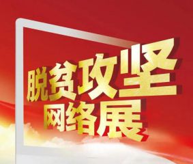 2020浏览观看脱贫攻坚网络展心得体会