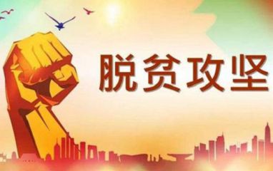 脱贫攻坚网络展心得体会五篇2020