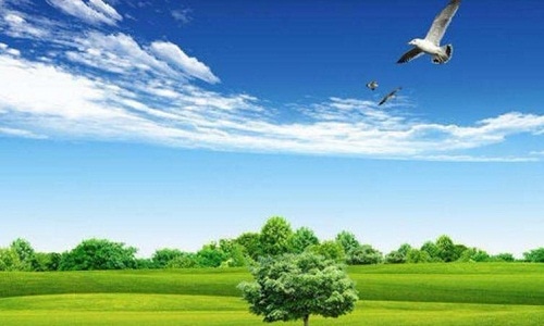 2020年保护环境倡议书范文