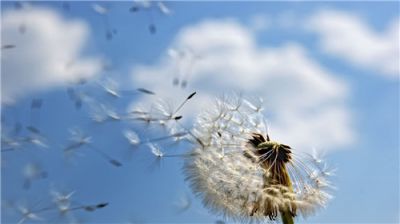 小学六一儿童节活动策划方案精选【5篇】