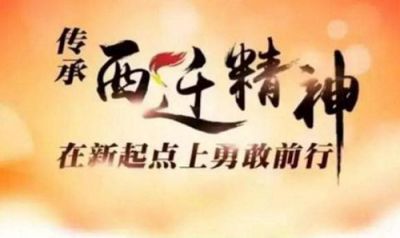 党员学习西迁精神心得体会2020【五篇】