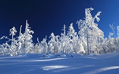 林海雪原读后感