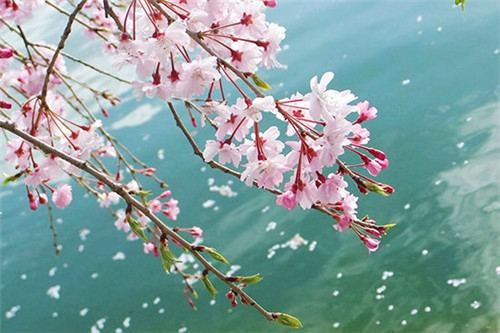 1591607956503128.jpg U10580P704DT20150403120505.jpg