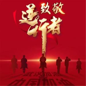 2020学习抗疫精神事迹心得体会范文3篇