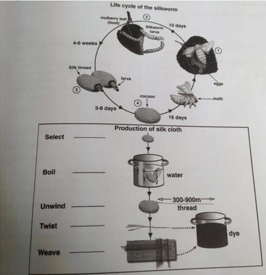 1592191713275712.jpg 6.jpg