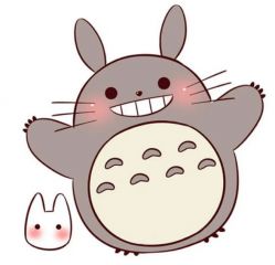 高中禁毒作文800字精选最新5篇