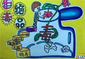 青少年禁毒满分作文心得【5篇】