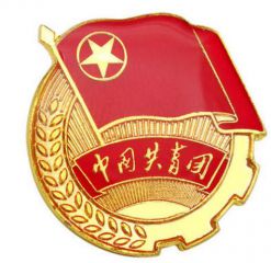 2020初一入团申请书500字范文6篇