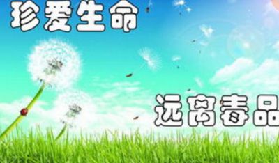 2020禁毒宣传片观后感心得体会5篇