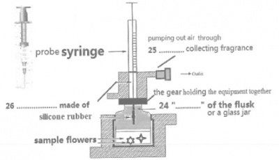 雅思阅读低分的3大基本原因分析