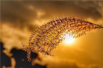 有关呐喊读后感心得