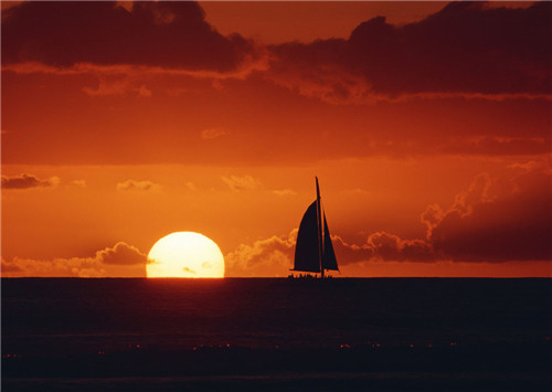 1594110687191189.jpg 1575371376-KrtLOwZHCV.jpg