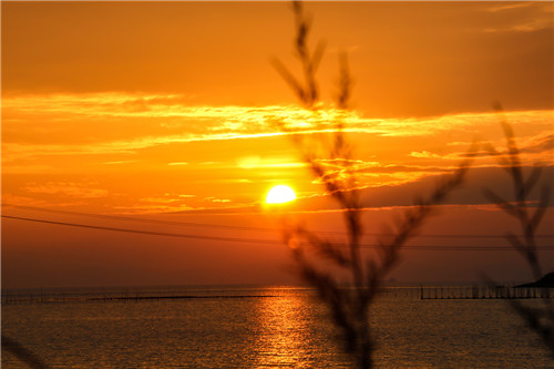 1594201382743789.jpg 2020脱贫攻坚扶贫心得感悟【5篇】精选