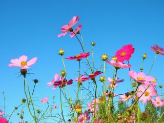 2021七夕当天一句话高端秀恩爱文案