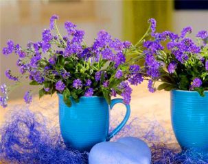 关于2020七夕祝福语浪漫的话