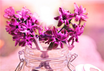 有关2020七夕送花祝福语