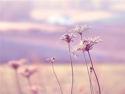 1594796797452082.jpg 三伏天吃什么好最好