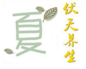 三伏天吃什么养生_三伏天宜吃什么食物