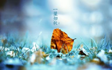 立秋是几月几号2020