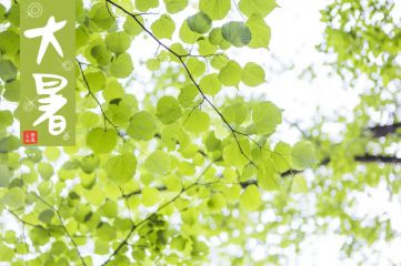 2020大暑节气朋友圈说说精选