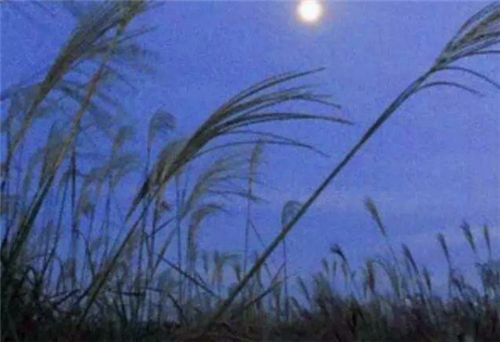 1595226956256455.png 适合晚上失眠发的说说