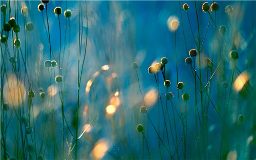 1595233241350101.jpg 七夕情话最暖心短句