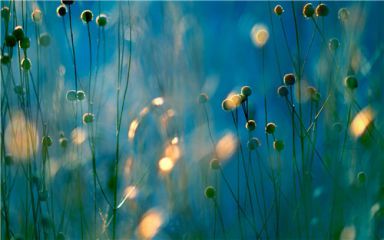 七夕情话最暖心短句