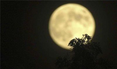 七夕节朋友圈怎么发