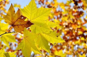 立秋是什么意思呢