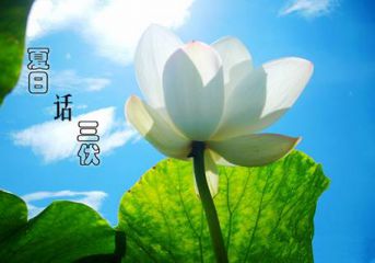 2020今日大暑说说文案精选