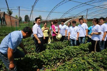 2020敬老院暑假社会实践活动总结5篇