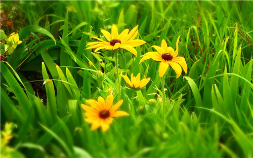 关于脱贫攻坚感悟个人心得体会精选【5篇】