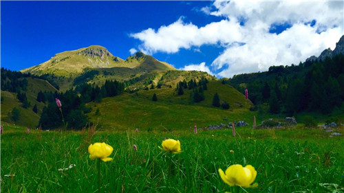 timg (1)_副本2.jpg