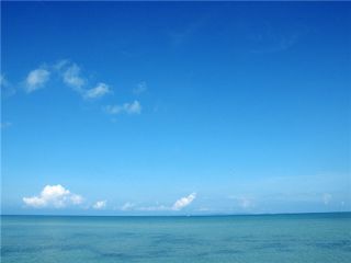 2020全面小康追梦成长优秀满分作文【5篇】