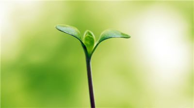 教师节优秀演讲稿范文模板精选【5篇】