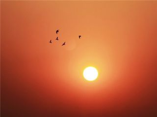 感恩老师教师节演讲稿最佳范文精选【5篇】