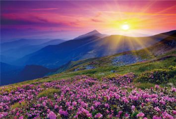 七夕情人节经典告白语