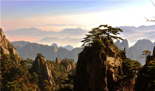 1595897590508218.jpg 充满正能量的早安心语