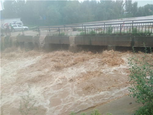 2020防汛救灾先进个人事迹材料汇报5篇