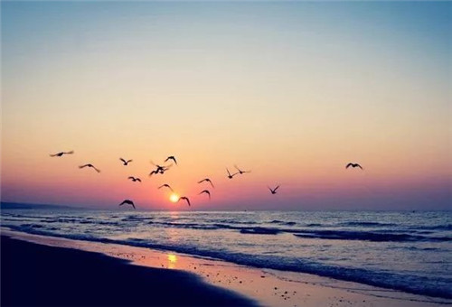 教师节感恩教师演讲稿范本精选700字【五篇】