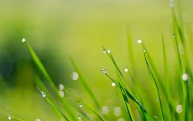 中秋节经典祝福语唯美句子精选100句