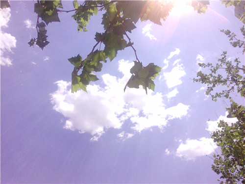 2020早安心语正能量一句话文案精选