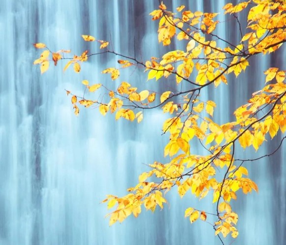 1596608620954337.jpg 今日立秋说说心情精选2020