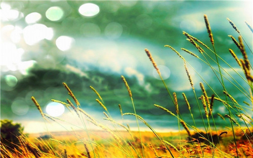 今天立秋的心情说说文案