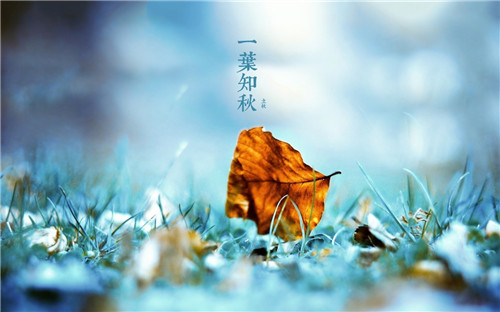 1596703451154571.jpg 2020立秋祝福语句子文案精选